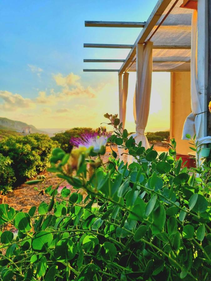B&B Calata Di Soli Miniera dellʼArgentiera エクステリア 写真